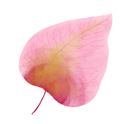 Illustration de feuille